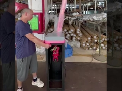 HCW χώρος στάθμευσης Boom Barrier Gate 24v DC Brushless Μηχανισμός κινητήρα για την ασφάλεια έξυπνη πύλη